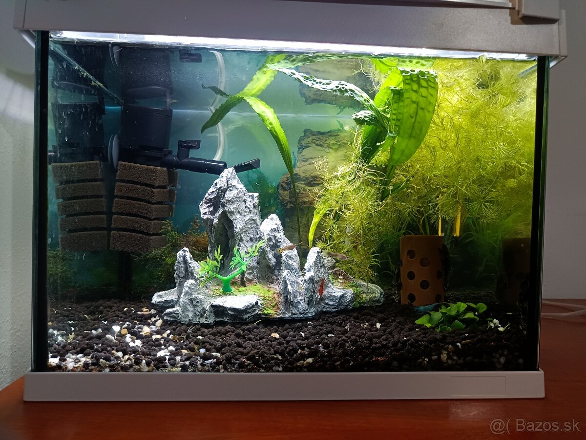 Akvárium ryby krevety filter teplomer dekorácie - 9