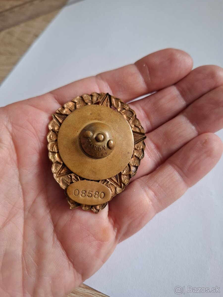 Odznak Vzorný ženista - 9