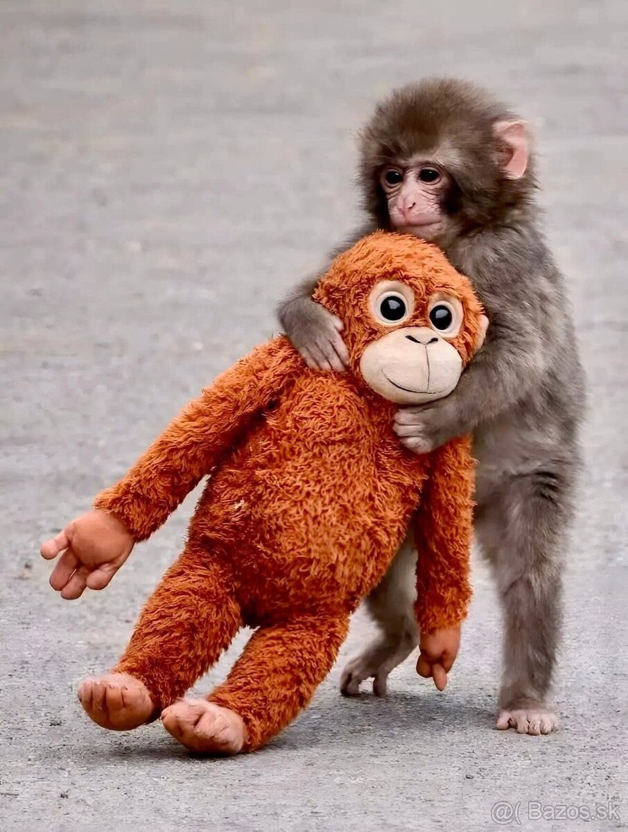 PUNCH original opička plyšová hračka - 9