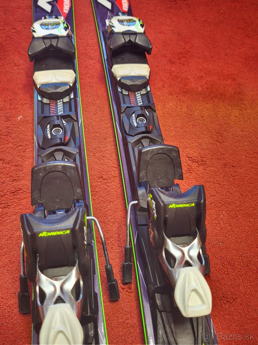 Dobermann Spitfire PRO nordica 160cm - 9