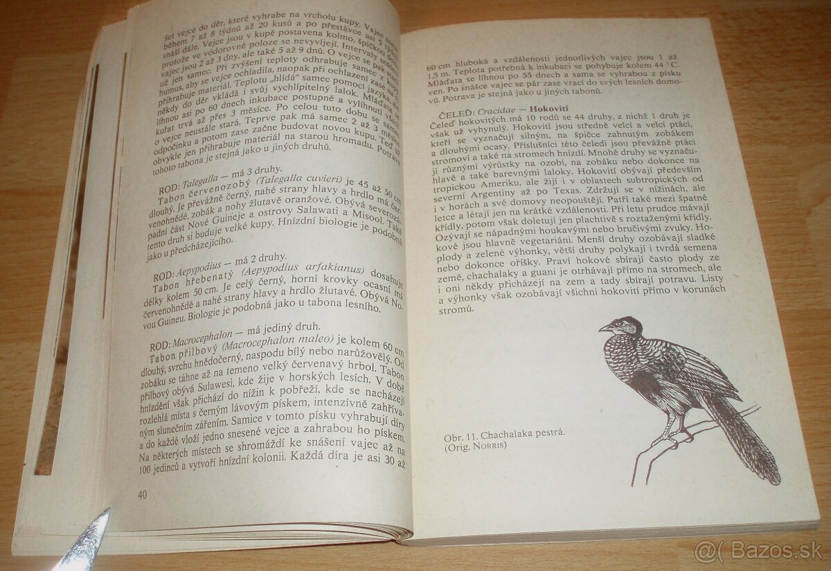 Bažanti a ostatní hrabaví - 9