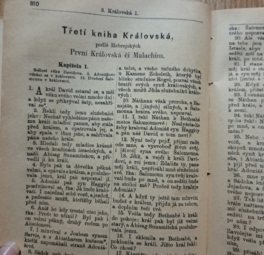 Starožitná Biblia Česká - 9