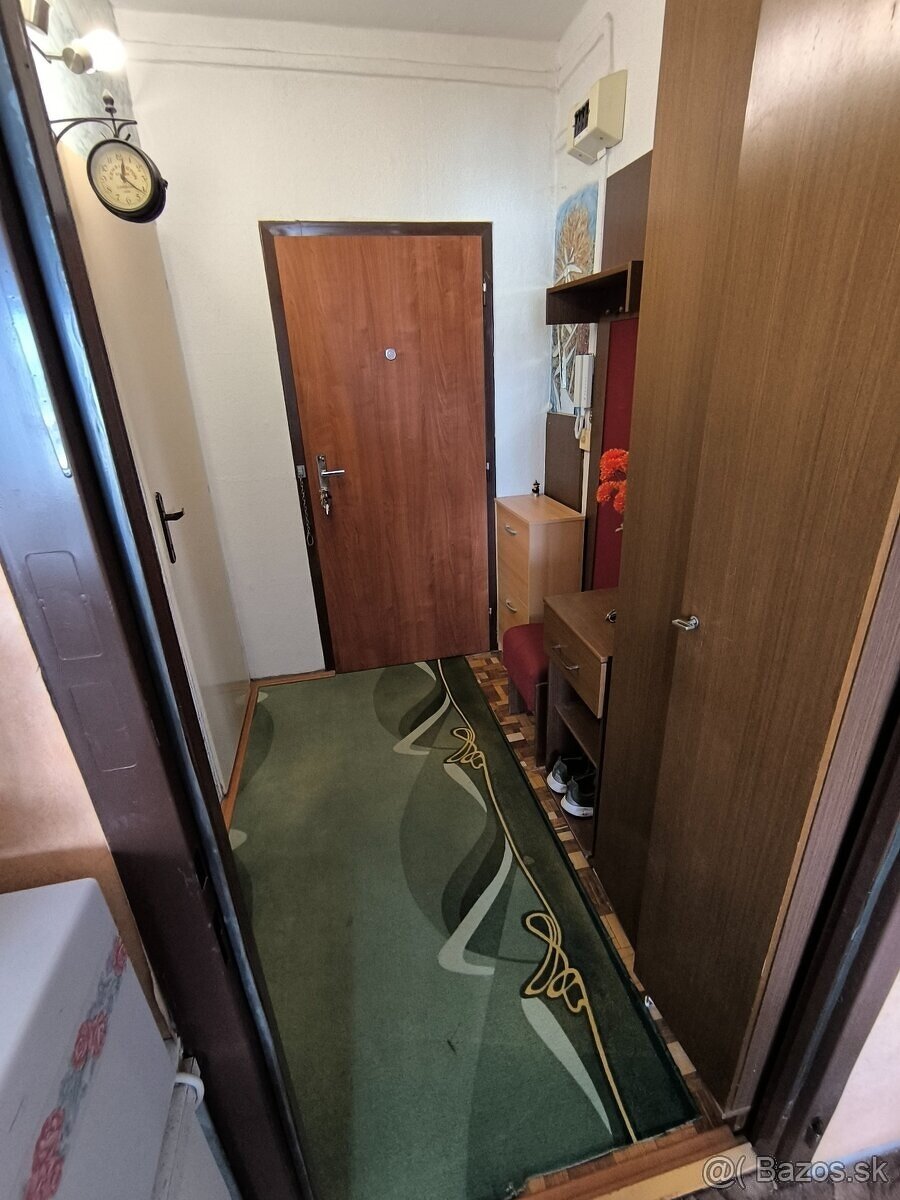 Jednoizbový byt v Leviciach - 9