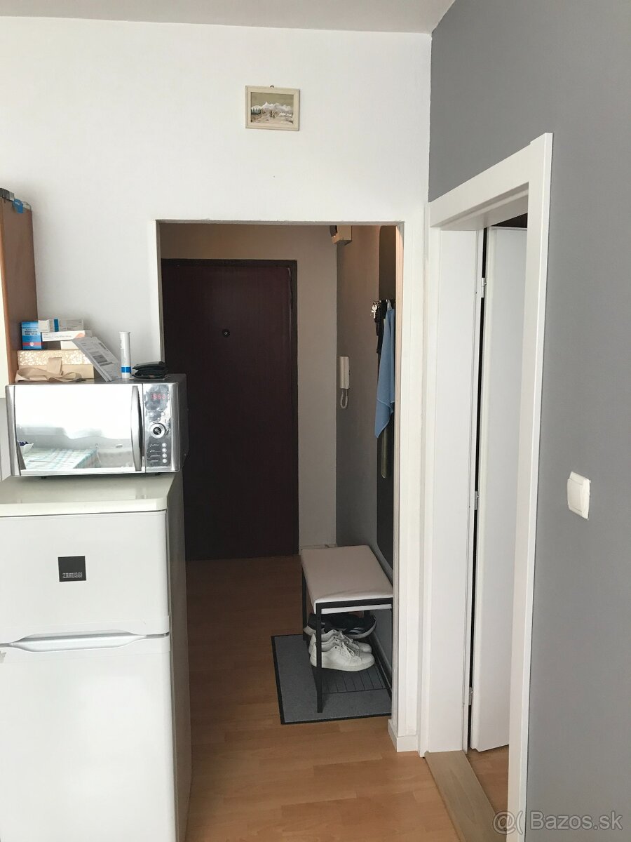 1 izbovy byt na predaj - 9