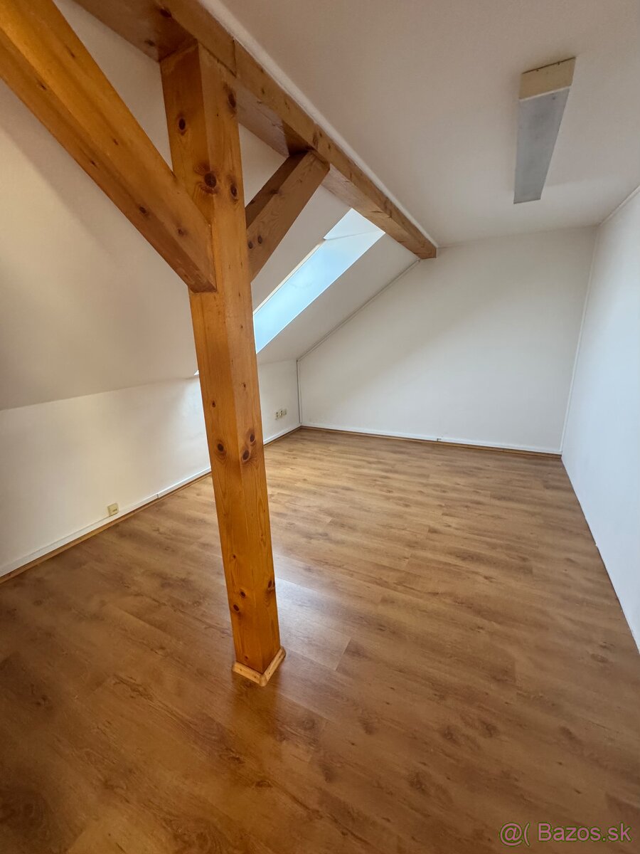 Prenájom obchodných a administratívnych priestorov v centre - 9