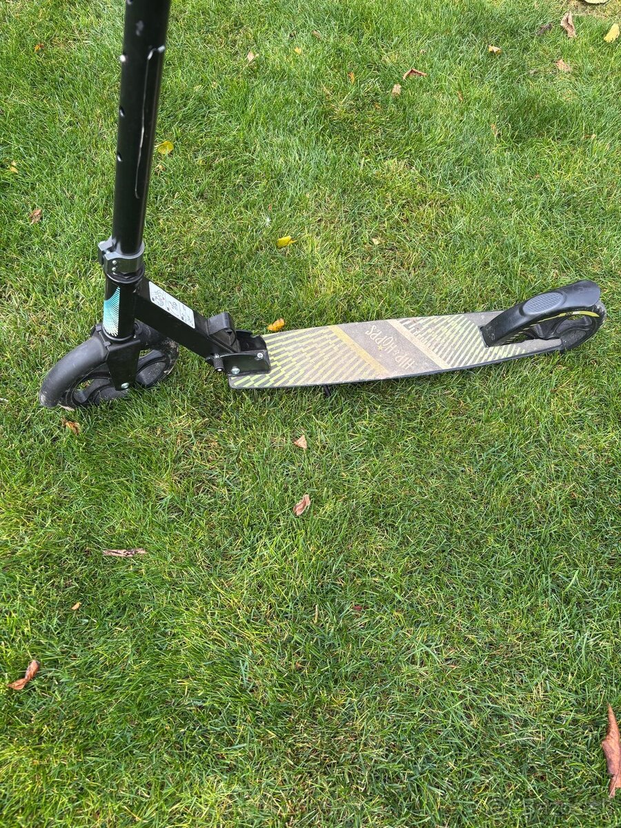 Lyže, palice, bicykle, nosič - 9