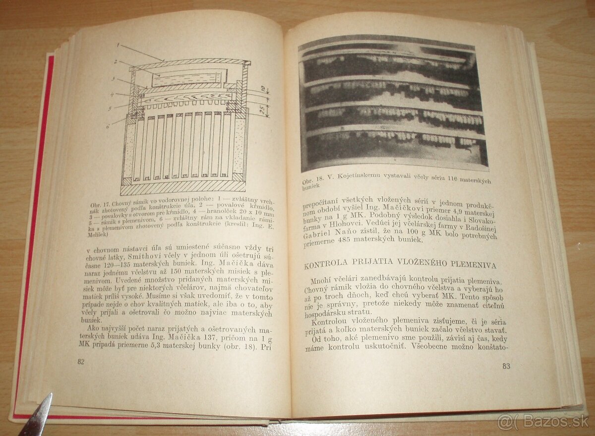 Včelia materská kašička - 9