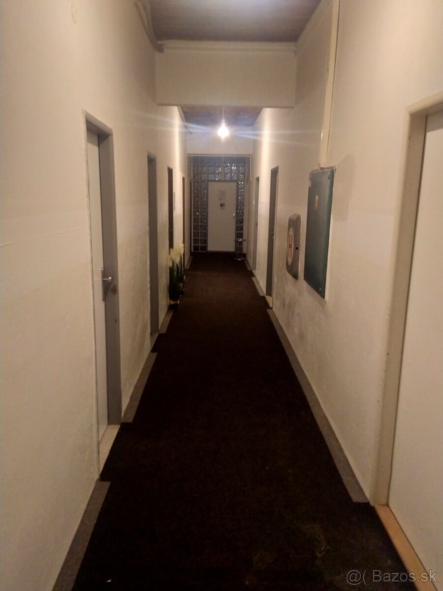 Nebytový priestor 34 m² v prízemnej budove, Bachova ulica - 9