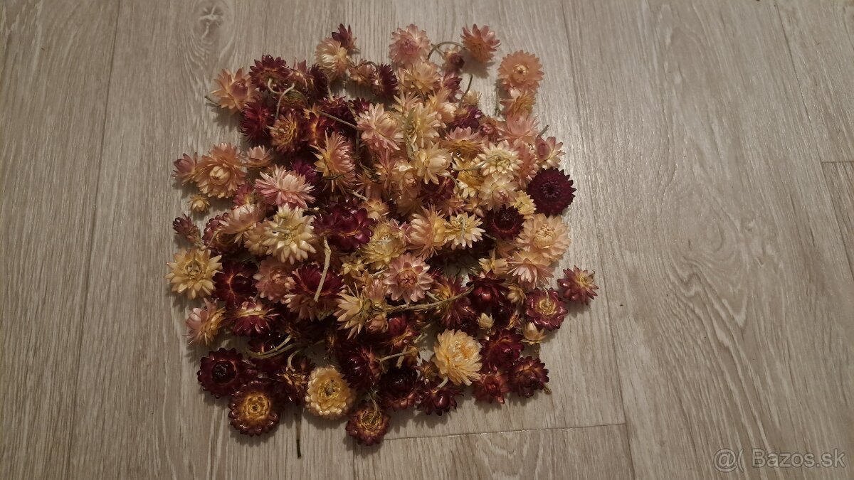 Sušené kvety - 9