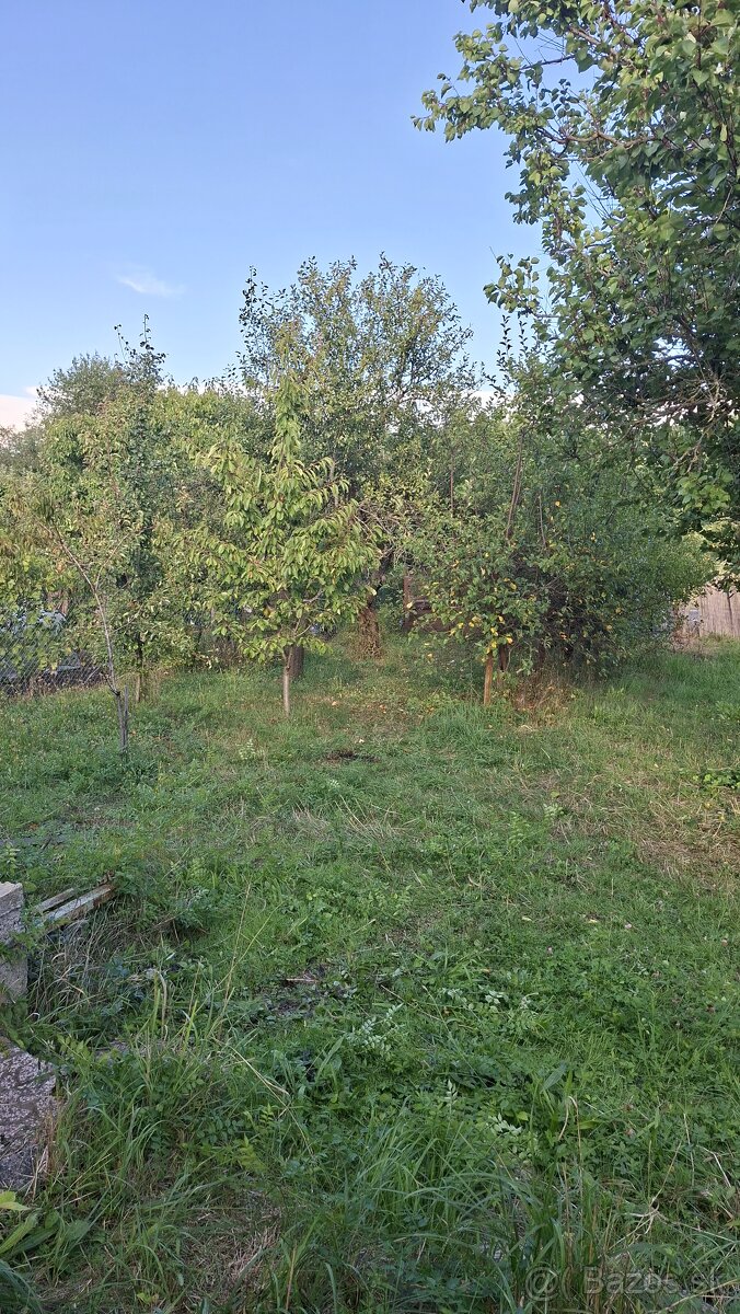 Predám záhradku v osobnom vlastníctve - 9