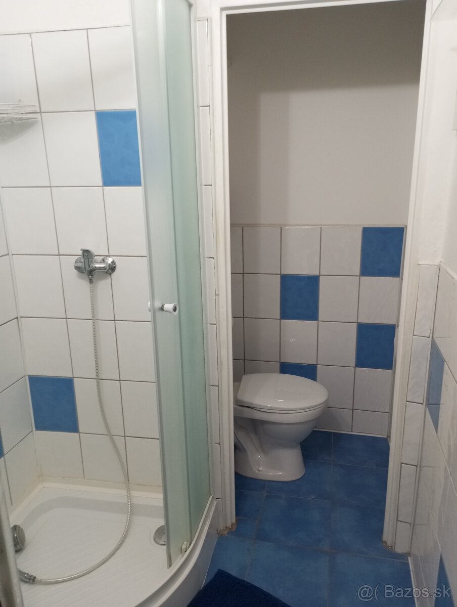 Prenájom 1 izbový byt - 9