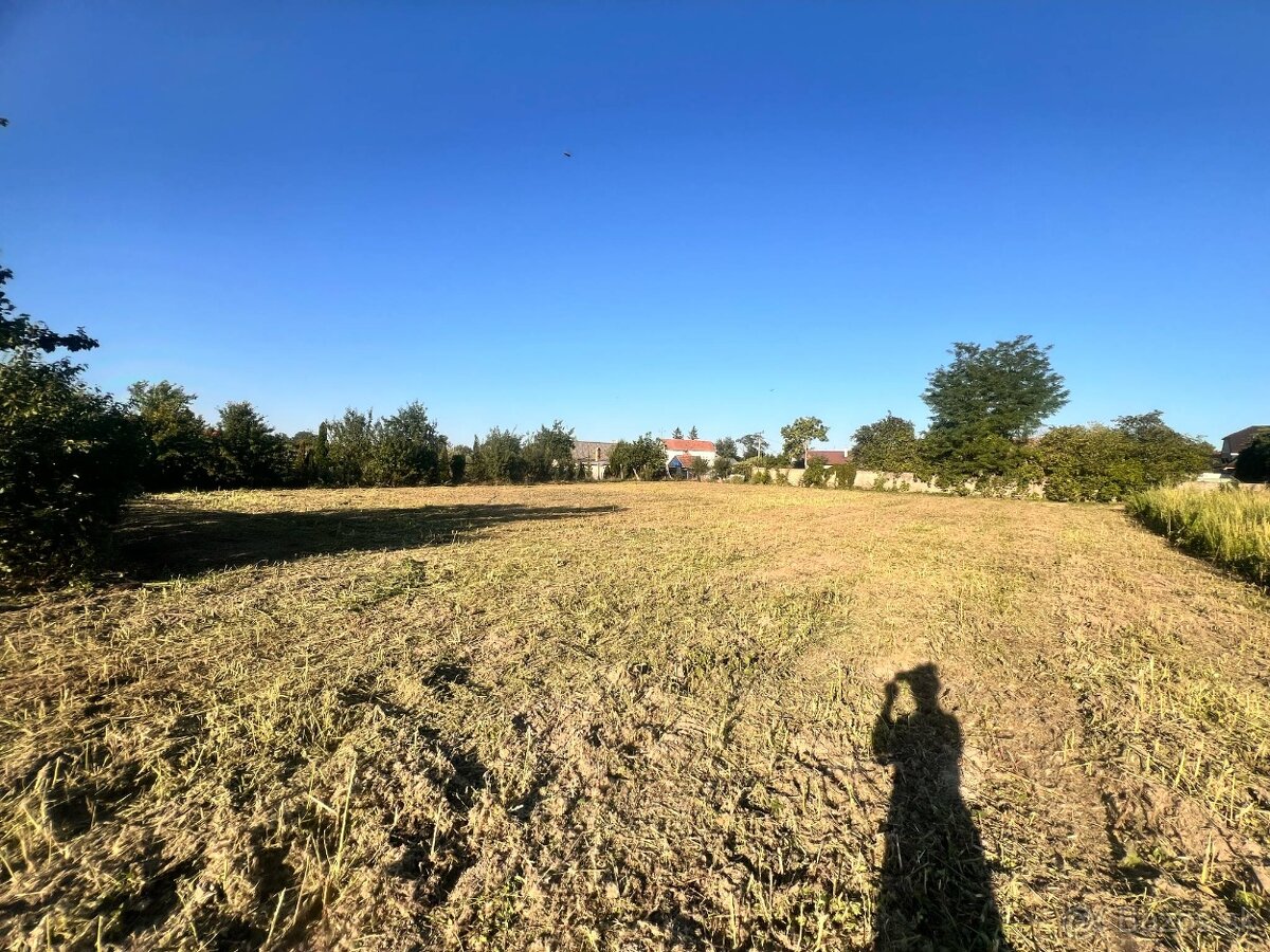 Extrémne upratovanie & Úprava dvorov - 9