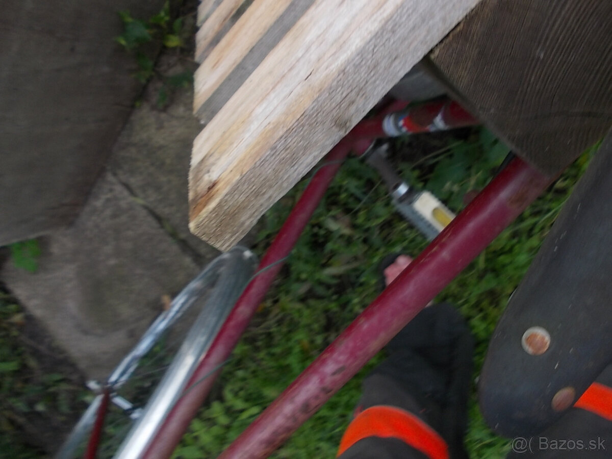 Stary favorit,eska - 9