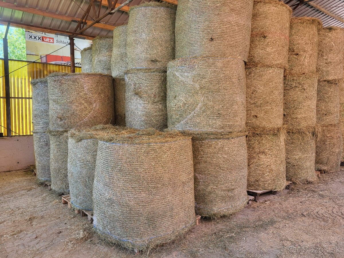 Seno možno doviesť - 9