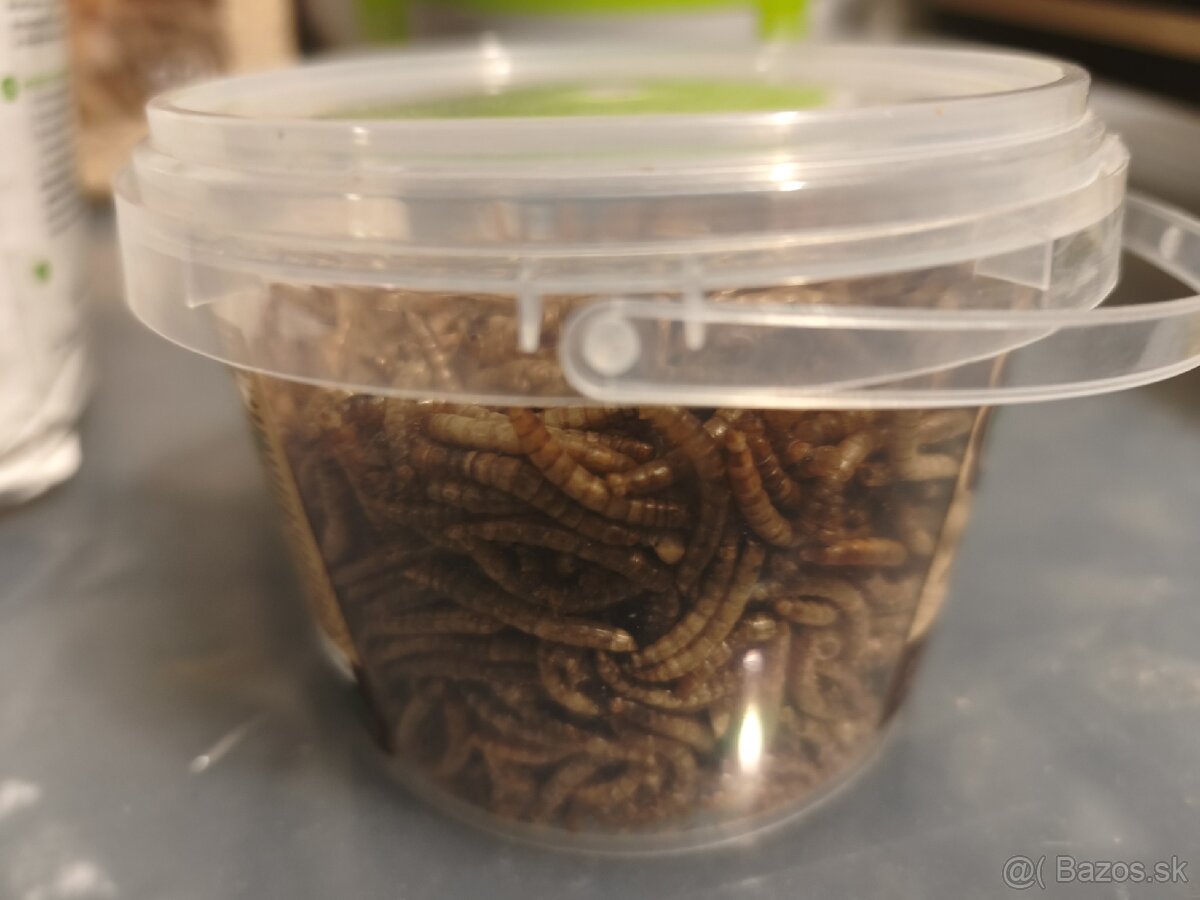 Klietka OLIMPIA pre škrečka s výbavou 46 x 29,5 x 54 cm - 9