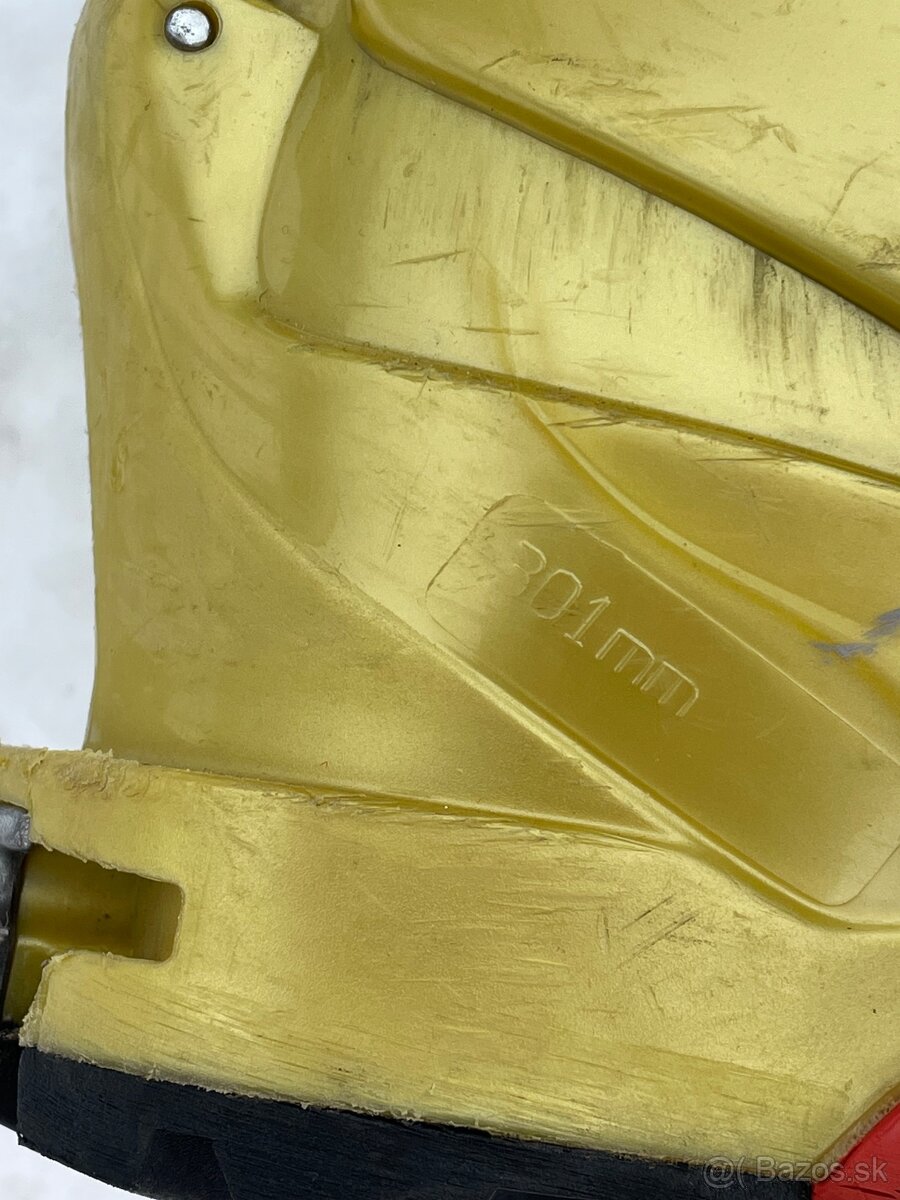 Predám skialp lyziarky,Palice 30€ - 9