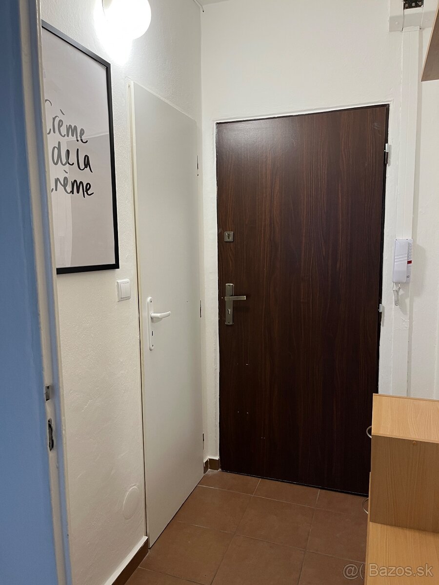 Prenájom 1 izbový byt s balkónom,Okružná,Levice - 9