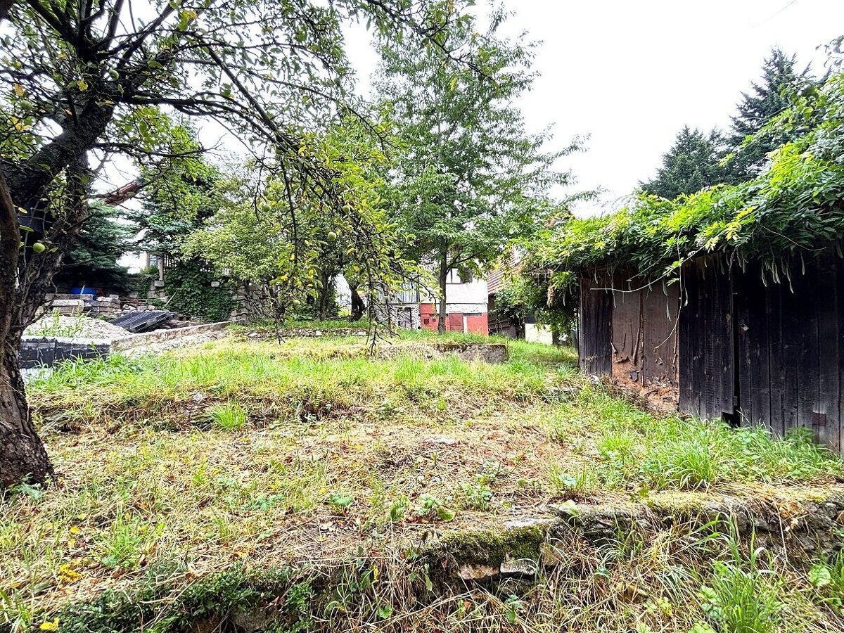 Záhrada 566 m² v Dúbravke| Elektrina | Ticho a zeleň - 9