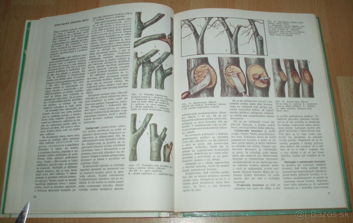 Tvarovanie a rez ovocných drevín - 9