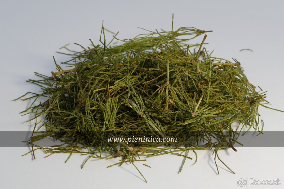Pieninica sušené byliny 2025 - 9