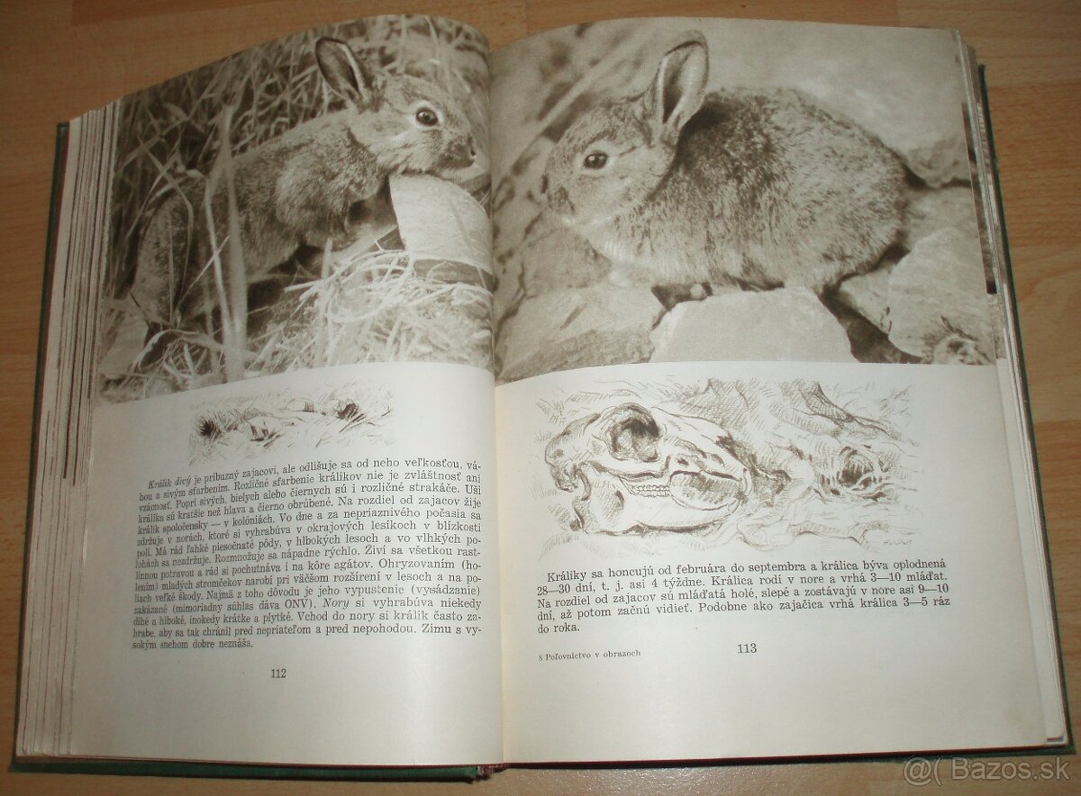 Poľovníctvo v obrazoch - 9