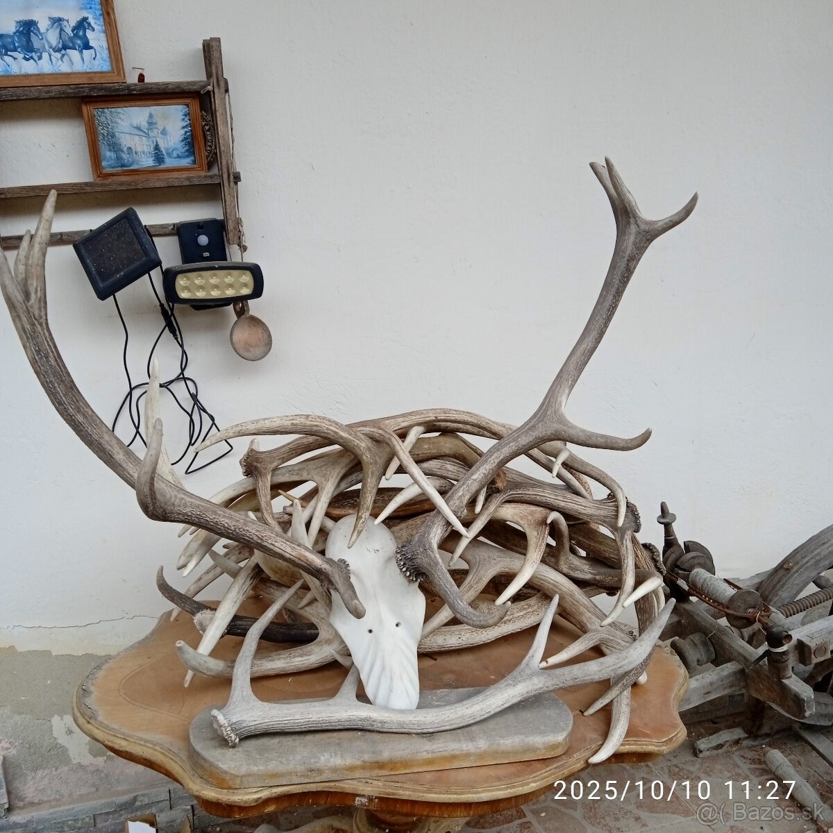 Trofeje a,parozie - 9