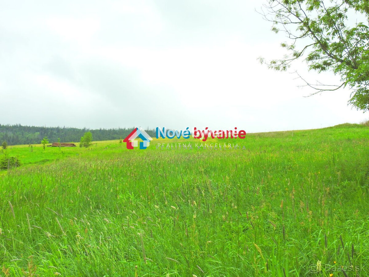 Pamiatková Drevenica v Ždiari - 9