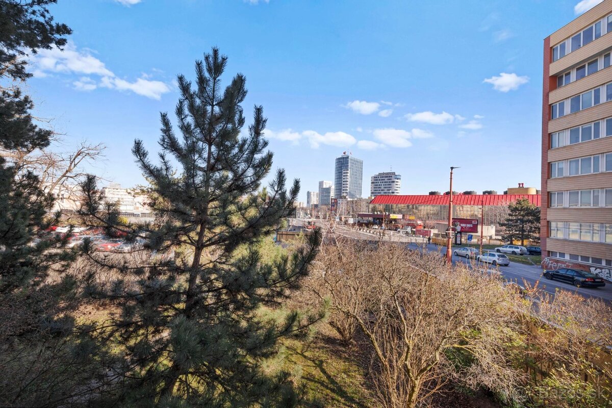 3-izb. byt po kompl. rekonštrukcii navrhnutej architektom - 9