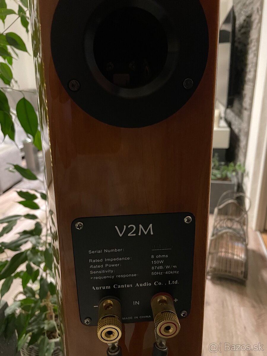 Aurum Cantus V2M - 9