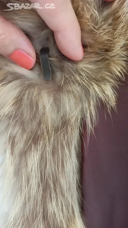 Kožich. Jezerní liška. - 9