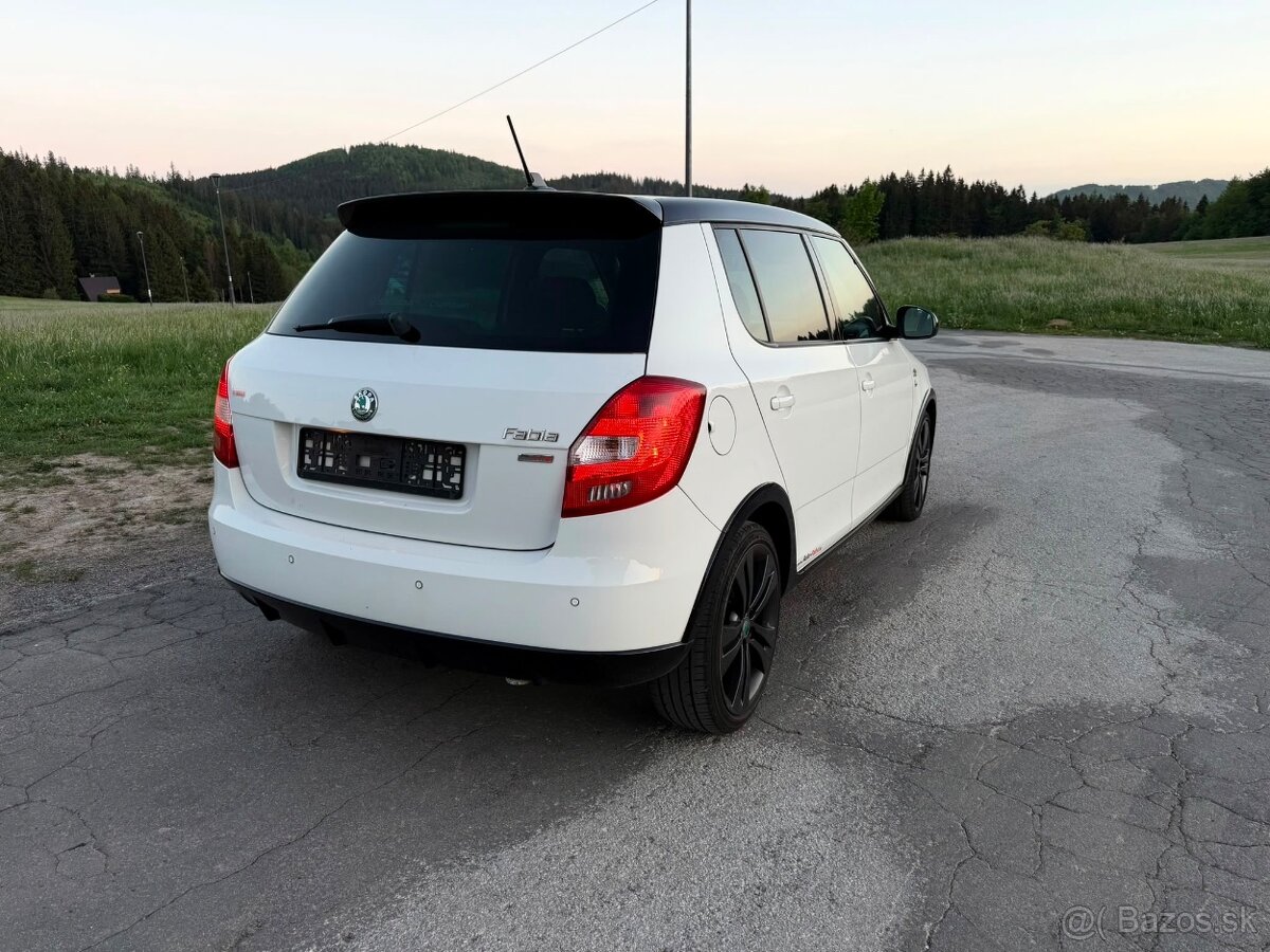 Skoda Fabia tdi 105PS Monte Carlo - 9