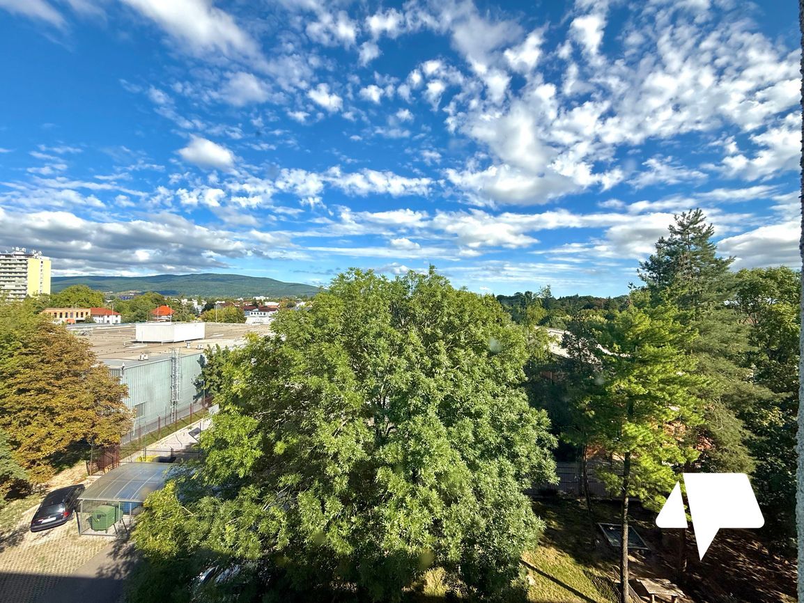 Prenájom, 2 izbový byt s balkónom, Zlaté Moravce - 9