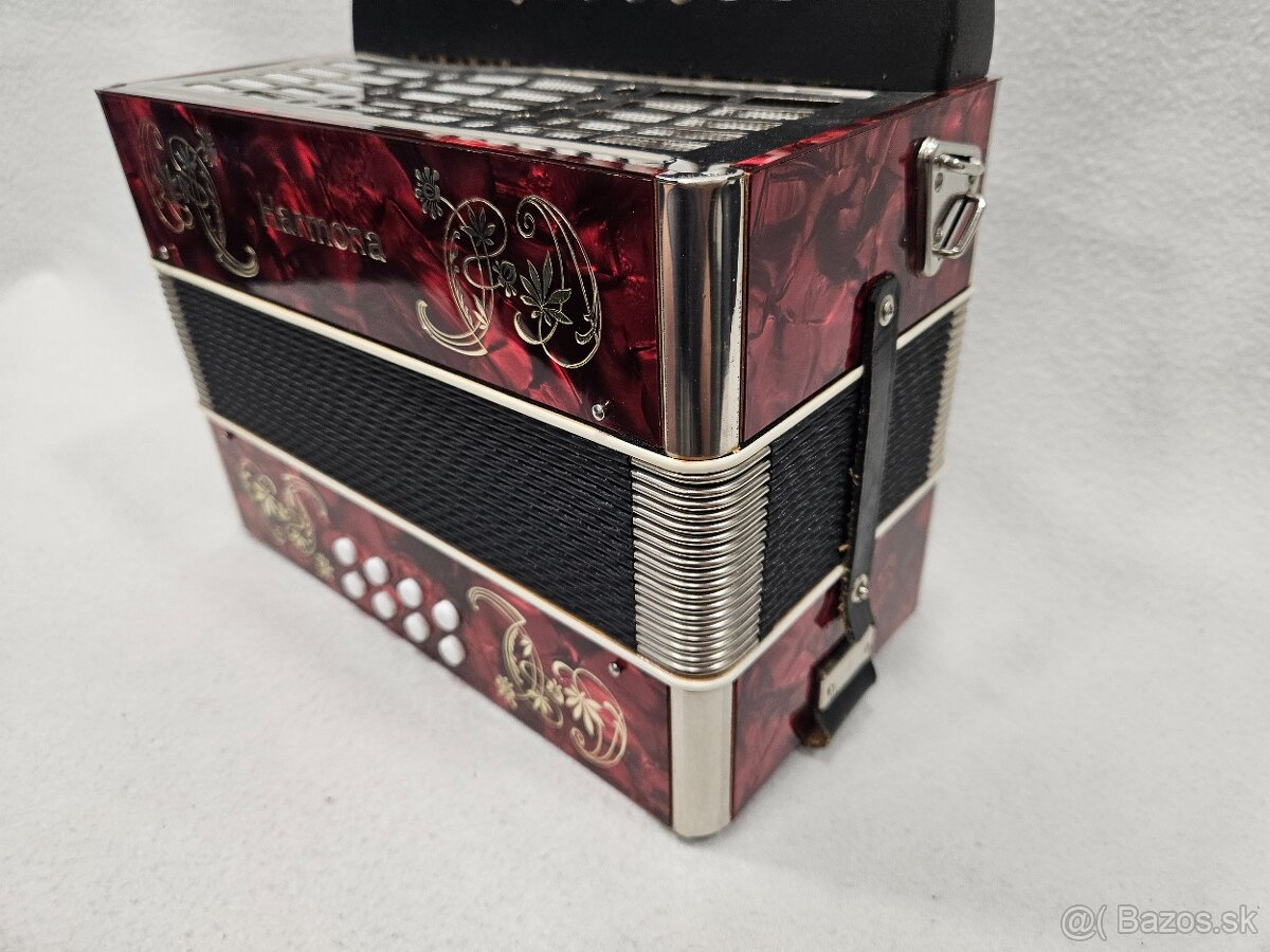 Heligonka harmonika weltmeister - 9