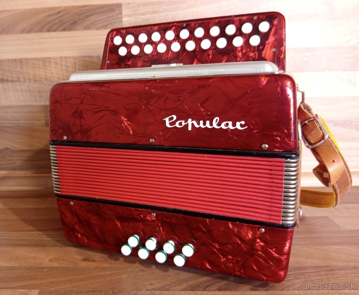 Akordeon, harmonika, heligonka - 9