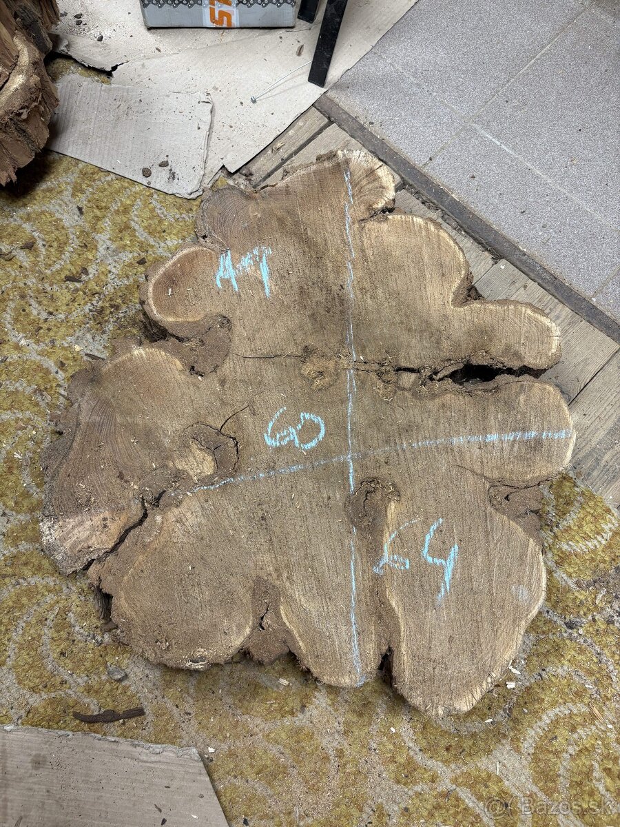 Vysušené agátové koláče / priečne rezy, agát - 9