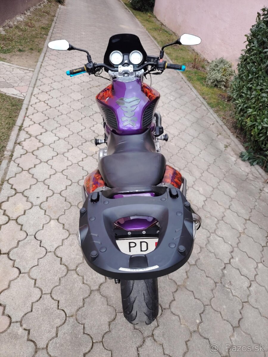 Honda Hornet 600 - 9