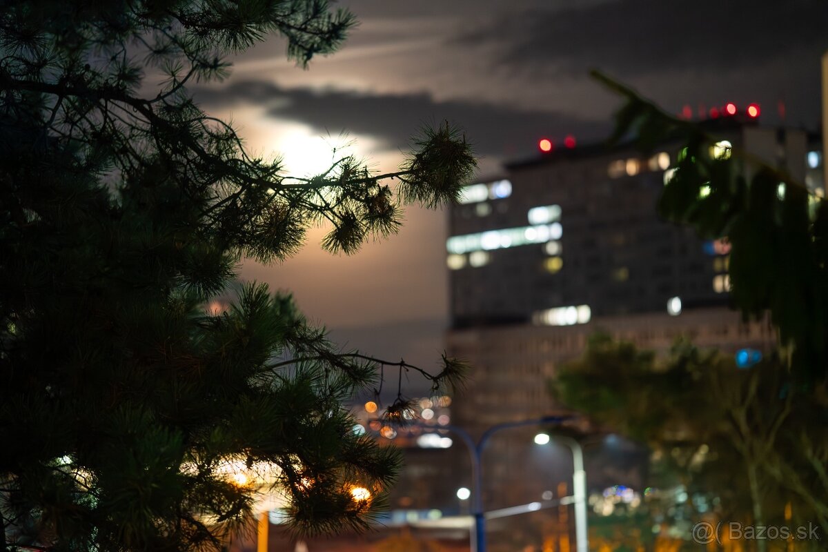 SONY Alpha A7R III - 9