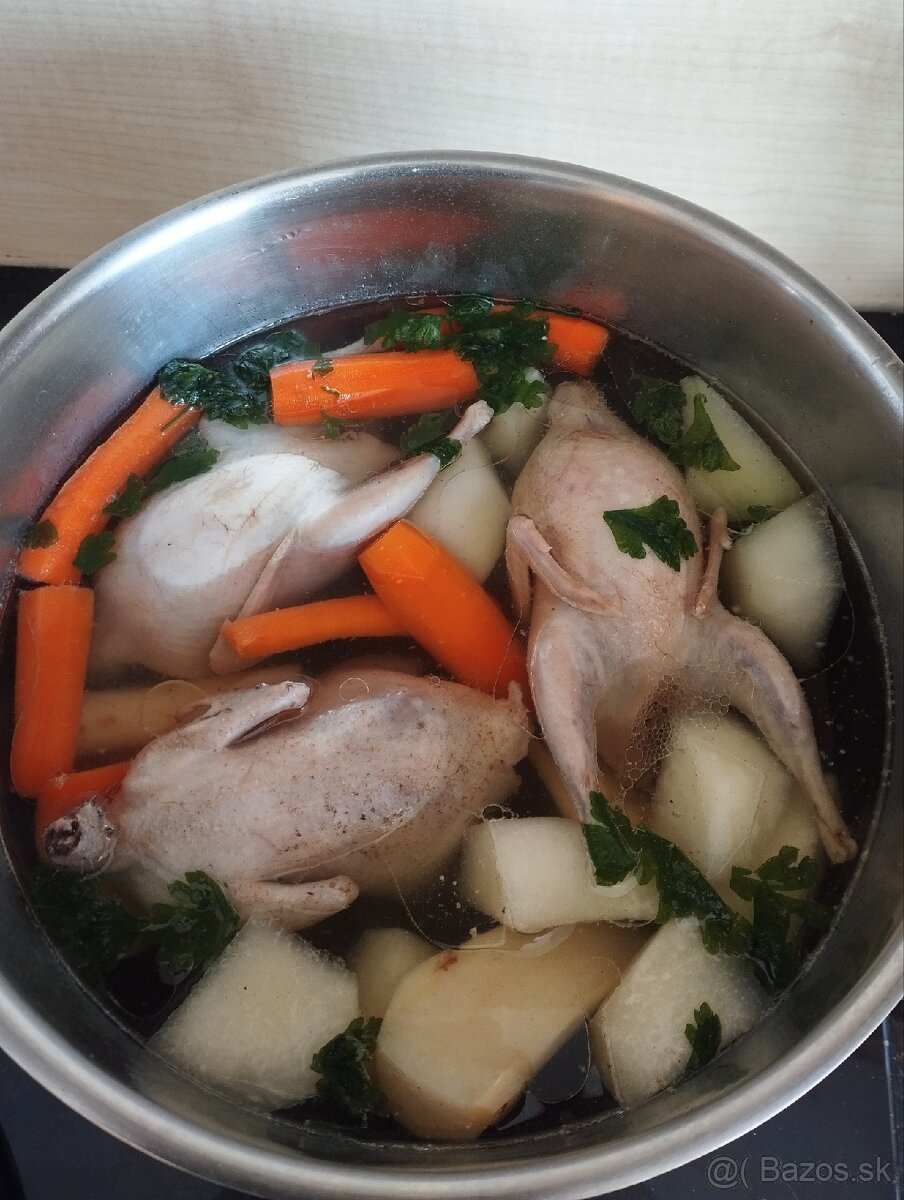 Japonské prepelice - 9