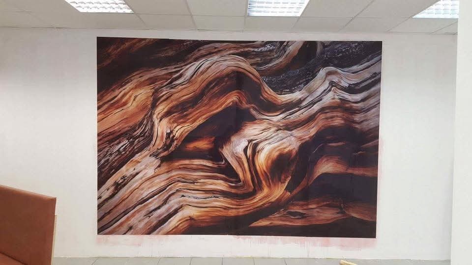 Profesionálne tapetovanie a maľovanie. - 9