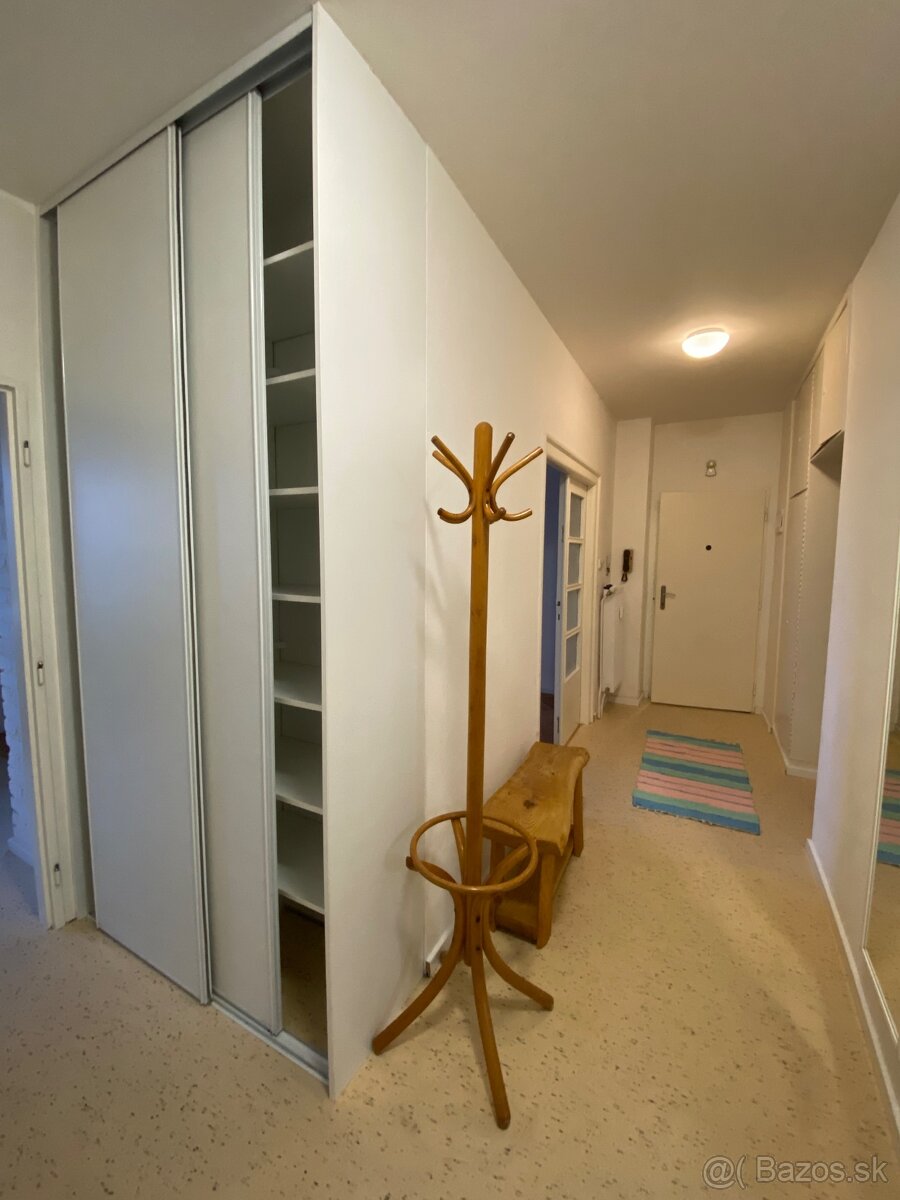 Slnecny 3izbovy byt - 9