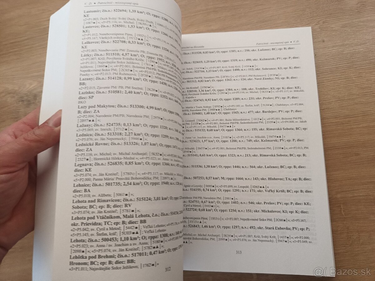 Katalóg patrocínií na Slovensku 2009 - 9