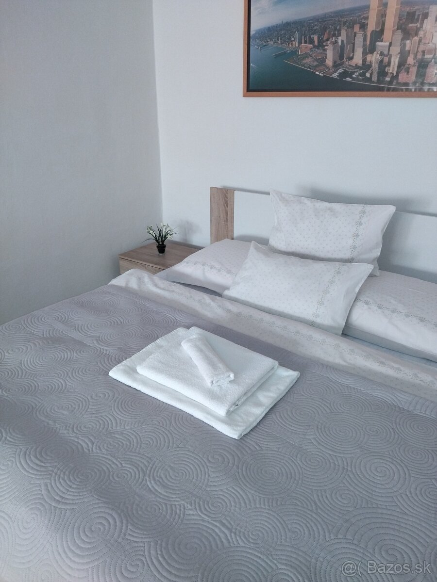 Byt na prenájom - 9