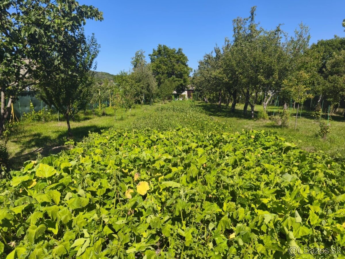 Predaj, rodinný dom s väčšou záhradou v obci Ľuboreč - 9