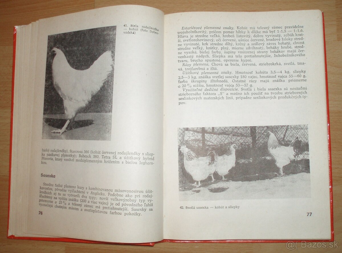 Najvýkonnejšie plemená a typy hydiny - 9