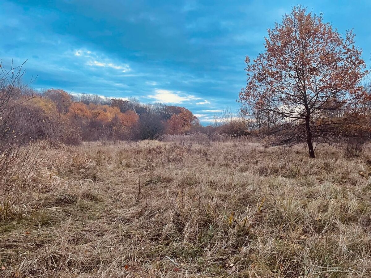 Pozemok - Lúka, Malé Leváre, 26 385 m² - 9