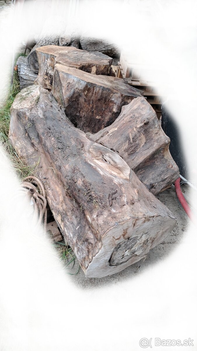 Predam orechove drevo - 9