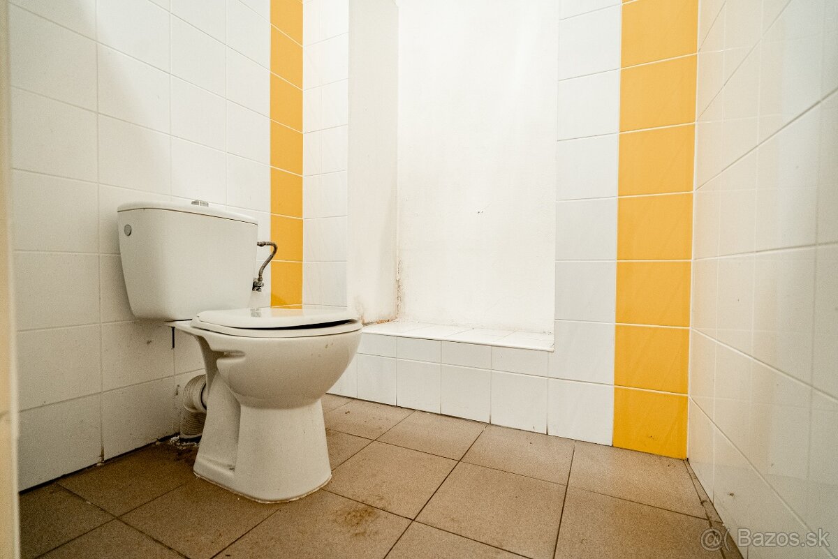 Obchodný priestor Šahy na predaj - 9