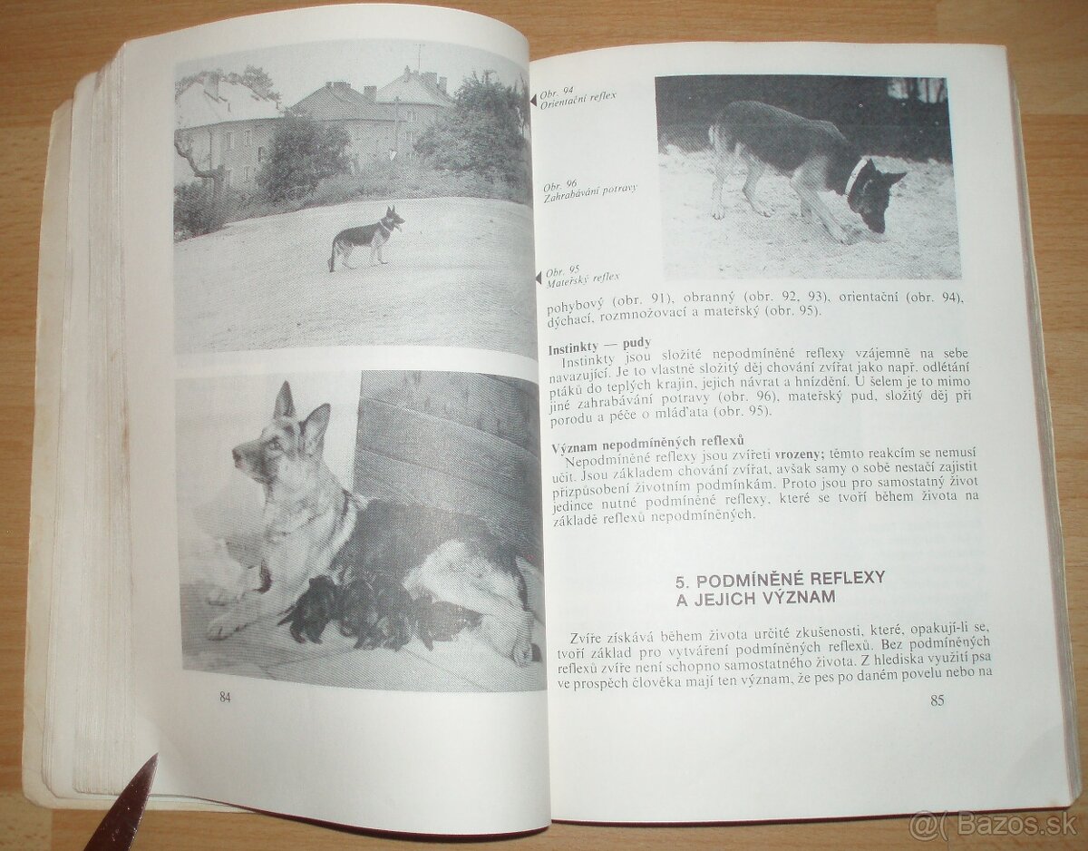 Pes a jeho výcvik - 9