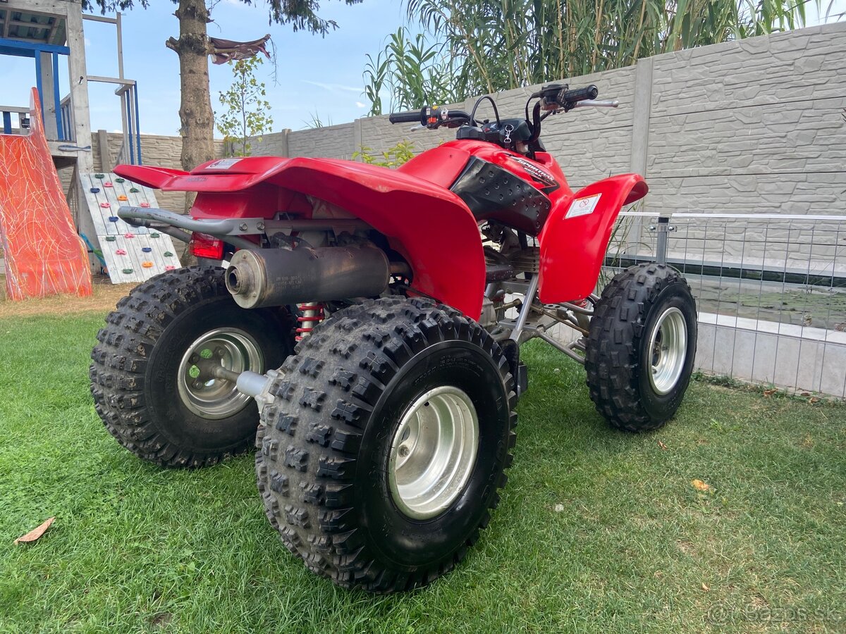 Honda TRX 250 - 9
