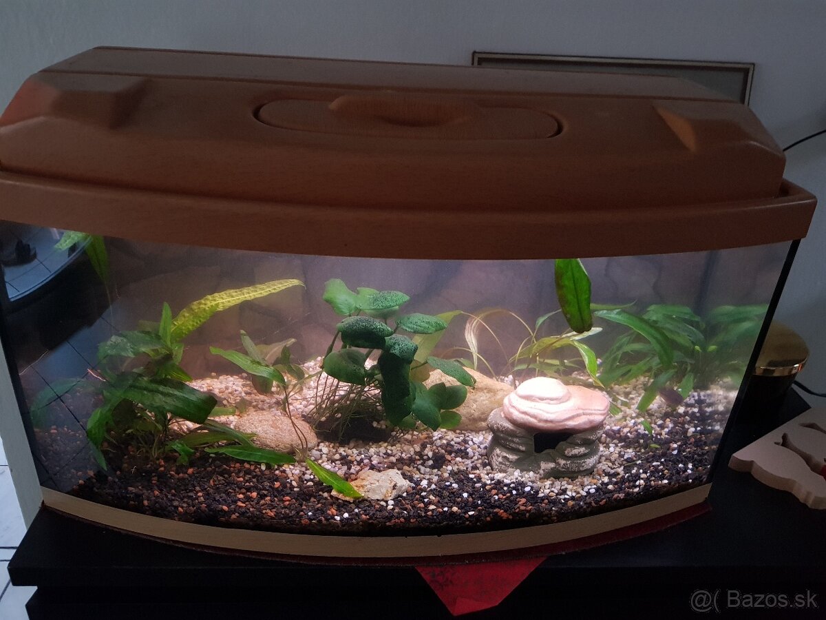 zabehnuté 54 litrové akvárium - 9